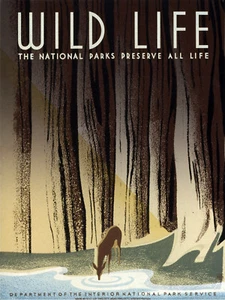 Vintage POSTER.National Parks.Nature.Room Decor.Home Decoration.1002 - Picture 1 of 1