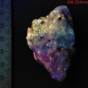 Chondrodite w/ minor Diopside in Calcite fluorescent minerals Long Lake 190ct - Bild 1 von 8