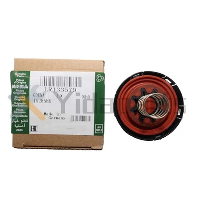 LR133579 NEW OEM FOR Land Rover LR4 Range RR Sport 3.0 5.0 Valve Service US Foto 1 de 4