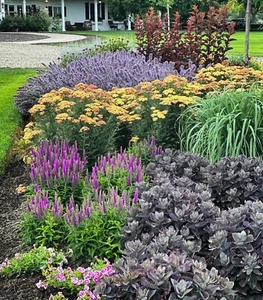Flower (Susies π Mystery Flower Mix) 1050+ Seeds :) Instructions Included x - Picture 1 of 24