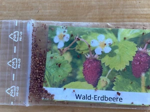 Walderdbeere Samen leckerer Bodenecker für alle Gartenbereiche - Bild 1 von 1