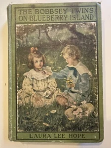 Bobbsey Zwillinge auf Blueberry Island - Bild 1 von 5