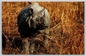 Postal Asiático Rinoceronte Unicornio Fondo Mundial para la Naturaleza India Nepal - Imagen 1 de 2