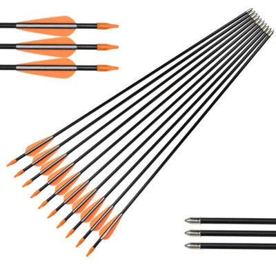 30" Practice Fiberglass Arrows Youth Archery Recurve Bow Fixed Bullet Tips 6/12X - Image 1 of 4