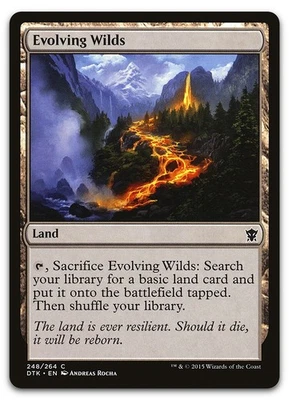 Evolving Wilds #248 (LP) Dragons of Tarkir DTK Magic MTG - Image 1 of 2