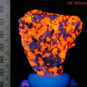 Sodalite fluorescent bright long wave mineral Mont Saint-Hilaire Canada 267ct - Bild 1 von 8