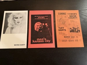 Tarjetas promocionales vintage de volantes de eventos del condado de Wayne - Imagen 1 de 3