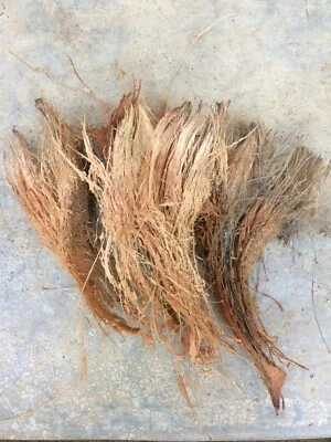 Coconut Husk 100% Natural Fiber Growing for Anthurium & Orchids  - Image 1 of 4