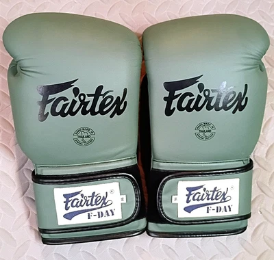 Luvas de boxe Fairtex Muay Thai verde dia F BGV11 edição limitada 16 oz - Imagem 1 de 4