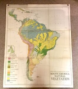 Philips Comparative Wall Atlas South America Vegetation Original 1920 School Map