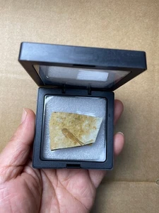 Jurassic Period lycoptera fish rock specimen Western Liaoning china - Picture 1 of 11