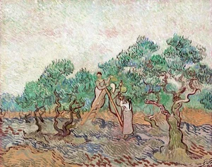 Der Olivengarten Gemälde von Vincent van Gogh Reproduktion - Bild 1 von 3