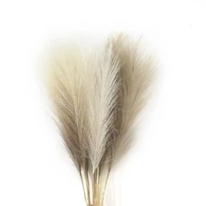 3PCS Artificial Pampas Grass Decor Flowers Fake Plant Reed 3color Mixed - Picture 1 of 1