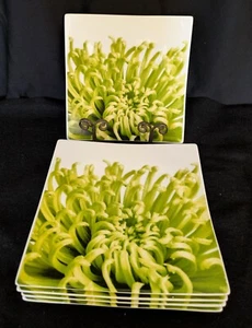 4 Crate Barrel CB2 Dessert/Salad 7.25" Square Plates w/Green Flower - Picture 1 of 4