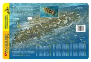 Melasse Reef Key Largo Florida wasserdichte Tauch- & Fischkarte - Bild 1 von 2