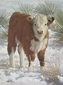 Frosty Morn - Signierter Druck des CAA Künstlers Wayne Baize - Hereford Calf - Bild 1 von 3