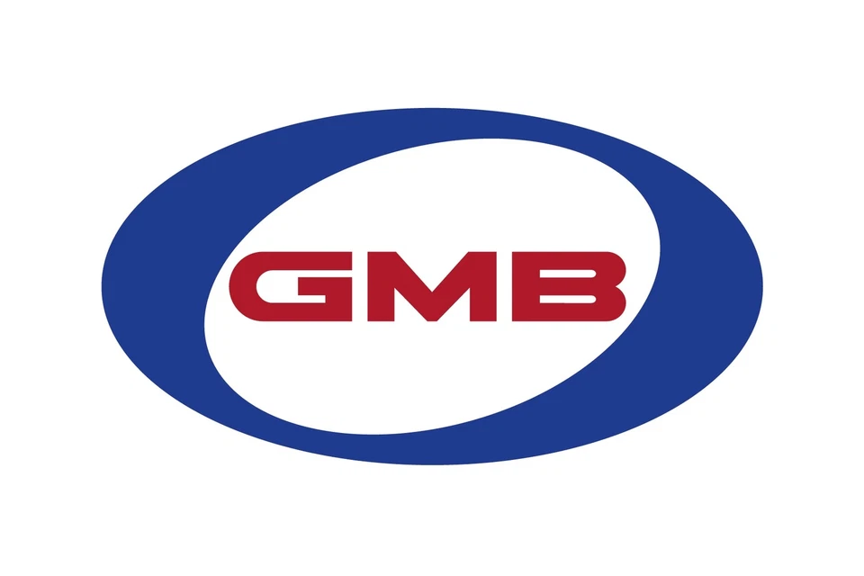 燃油泵吊架总成 GMB 543-6010 适合 99-02 起亚 Sportage — 第 1/1 张图片