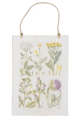 WILDFLOWER ILLUSTRATIONS HANGING PLAQUE COUNTRY GARDEN BOTANICAL RUSTIC CHIC - Image 1 of 2