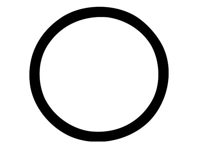 Thermostat O-Ring 91XJTQ64 for 122 142 144 145 1800 242 244 245 1967 1968 1969 - Image 1 of 1