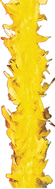 BE WICKED 40 gramos CHANDELLE pluma BOA 6 pies de largo BACHORLETT salón NIÑA Foto 1 de 1