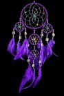 Handmade Native American Indian Style Dream Catcher Purple / Dcny11trishellpur