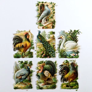 Die Cut Scrap Birds Swan Peackock Turkey Rooster Chicken Guinea Fowl - Picture 1 of 18