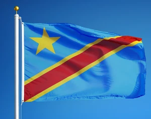 NUEVO CONGO REPÚBLICA DEMOCRÁTICA 3x5 ft BANDERA CALIDAD SUPERIOR DESVANECIMIENTO RESISTIR VENDEDOR DE EE. UU. - Imagen 1 de 4