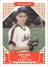 1991-92 ProCards Tomorrow's Heroes #291 Todd Fiegel