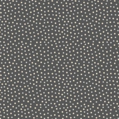 Studio E - Moonlit Dreams - выброшенные звезды - гранит, ткань BTY - Изображение 1 из 4