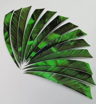 Plumas de tiro con arco Foto 1 de 4