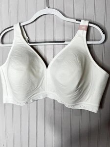 Sujetador Cacique Mujer 44DD Ligeramente Forrado Sin Alambres Cobertura Completa Soporte Talla Grande - Imagen 1 de 8