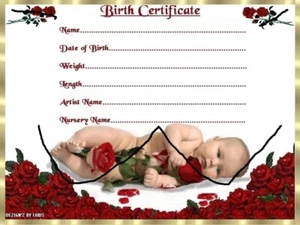 ROTE ROSEN BABY GEBURTSURKUNDE URKUNDEN REBORN GEFÄLSCHTES BABY ca. 7" x 5" A - Bild 1 von 5