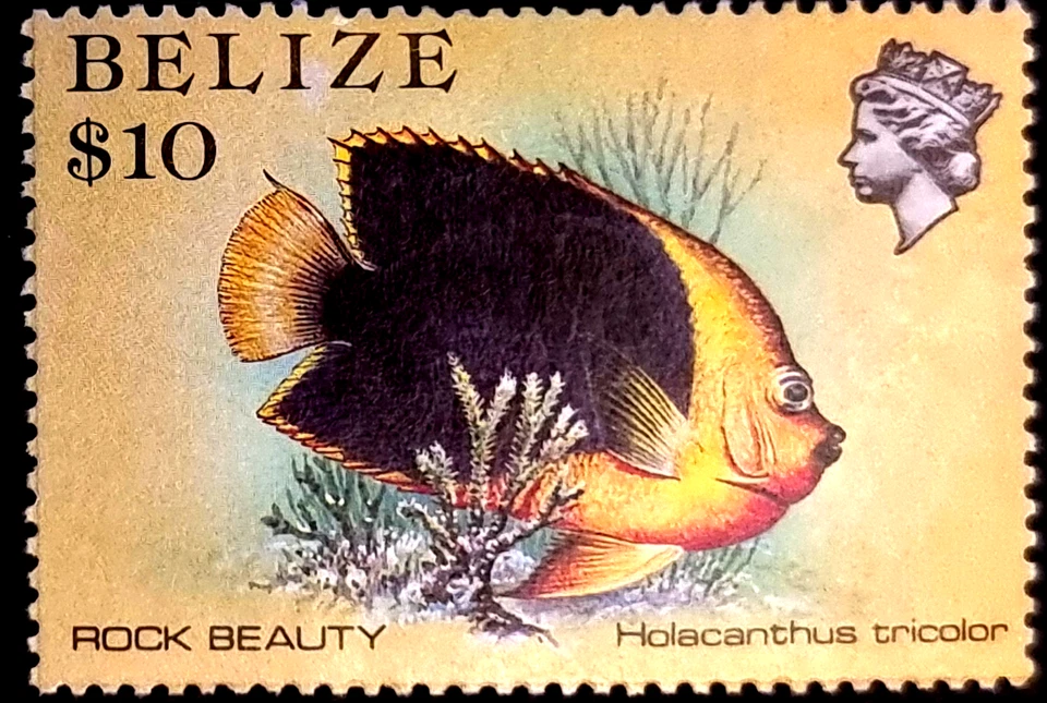 British Honduras - Belize - 1984 - Sc 714 - $10.00 Fish Definitives MH — 第 1/1 张图片