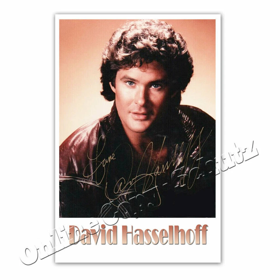 David Hasselhoff aus Baywatch & Knight Rider ° Autogrammfoto  ³ - Bild 1 von 1