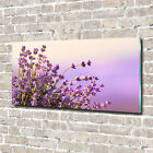 Acrylglas-Bild Wandbilder Druck 140x70 Deko Blumen & Pflanzen Lavendel