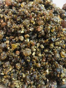 Indian Fragrance Gugula Gugal Guggal Dhoop Commiphora- Hawan Pooja Prayer F/S - Picture 1 of 4