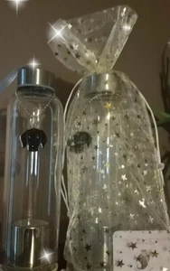 NWT Glass Drinking Water Bottle with Infuser Basket and Dog Keychain - Picture 1 of 5