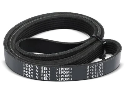 Correa de transmisión accesorio Plymouth Breeze 1997-2000 APR 73978SPZH 1998 1999 Foto 1 de 2