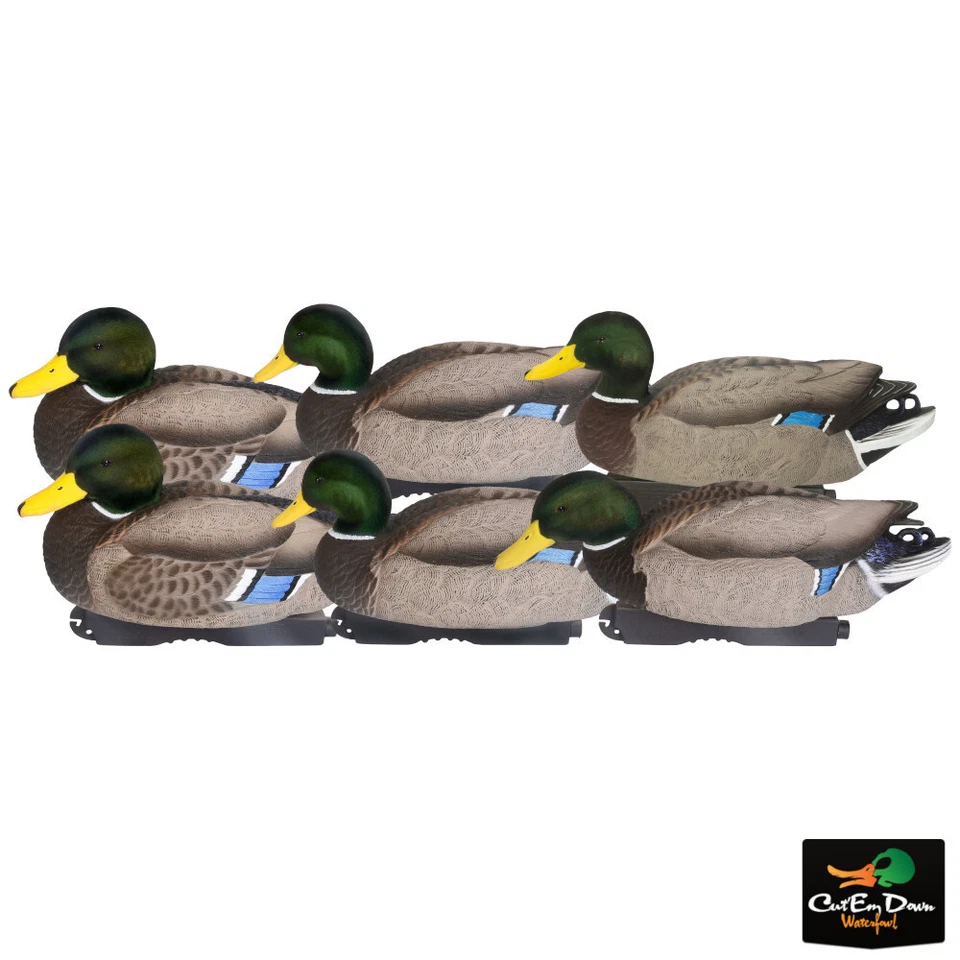AVERY GHG XD SERIES PG MALLARD DUCK DECOYS ALL DRAKE 6 PACK W/ FLOCKED HEADS - Image 1 of 1