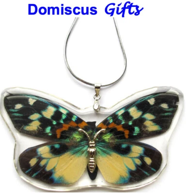 2 1/2" NEW! Real INSECT Yellow RED Black BUTTERFLY NECKLACE Jewelry PENDANT - Image 1 of 2