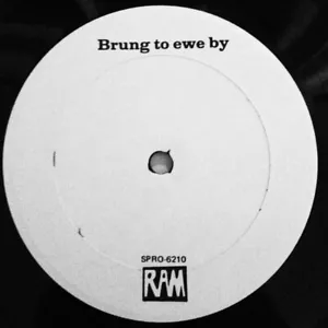 The Beatles - Paul McCartney - Brung to Ewe By - RAM Promo Radio Spots LP - Imagen 1 de 3
