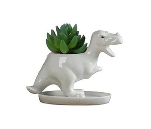 Dinosaur Shape White Ceramic Succulent Planters Pots Bonsai Plant Dino Pots Vase - Picture 1 of 12