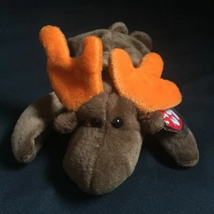 Ty Beanie Babies Chocolate the Moose DOB April 27, 1993 - Picture 1 of 9