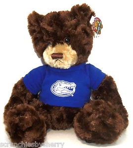 Florida Gators Plush Bear Dexter Chelsea Teddy Bear Company New - Picture 1 of 3