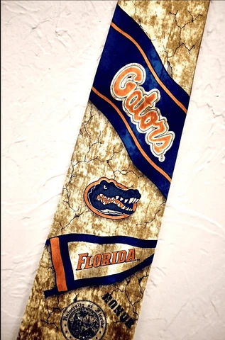 Florida Gators Adult University Eagle Neck wear NWT Cover
