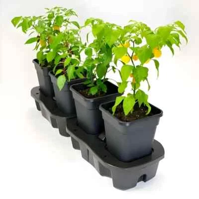 Quad Grow Self-Watering Planter - Maximise Plant Growth with Smart Watering - Image 1 of 3