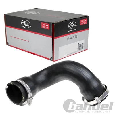 GATES Tubo Admisión Apto para Citroën C8 Jumpy Fiat Scudo Ulysse Lancia - Imagen 1 de 2