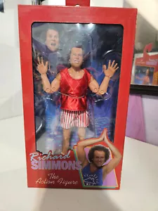 Richard Simmons NECA 8-inch Actionfigur - Bild 1 von 15