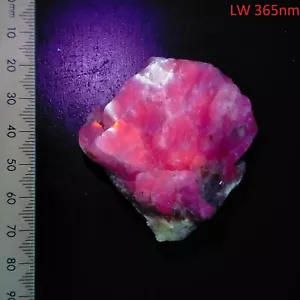 Sodalite w/ Phlogopite Mica UV reactive long & short wave mineral specimen 348ct - Foto 1 di 10
