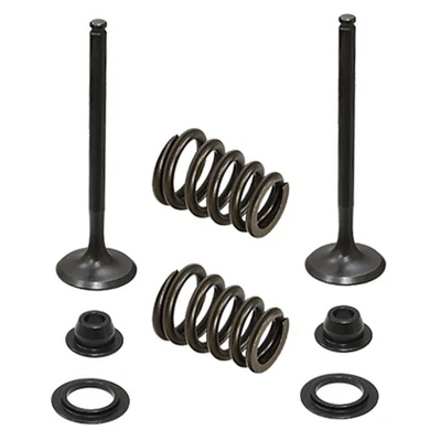 Kit de válvula de escape psíquica para KTM se adapta a algunos modelos 450, 525, 540 y 560 2003-2006 Foto 1 de 2